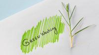 Greenwashing - miljø - guide