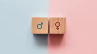 Køn - ligestilling - blå og lyserød - 3840x2160